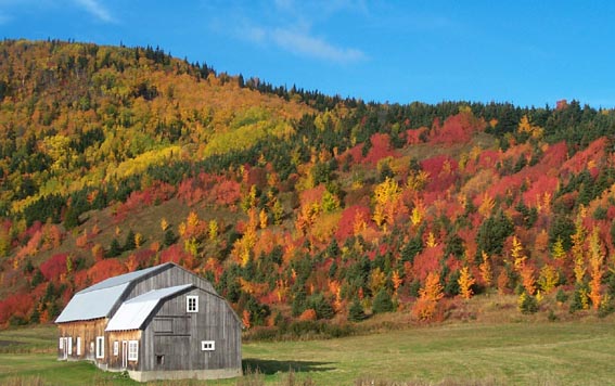 Les Laurentides, Qu&eacute;bec, Canada