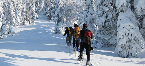 Raquettes et ski de fond