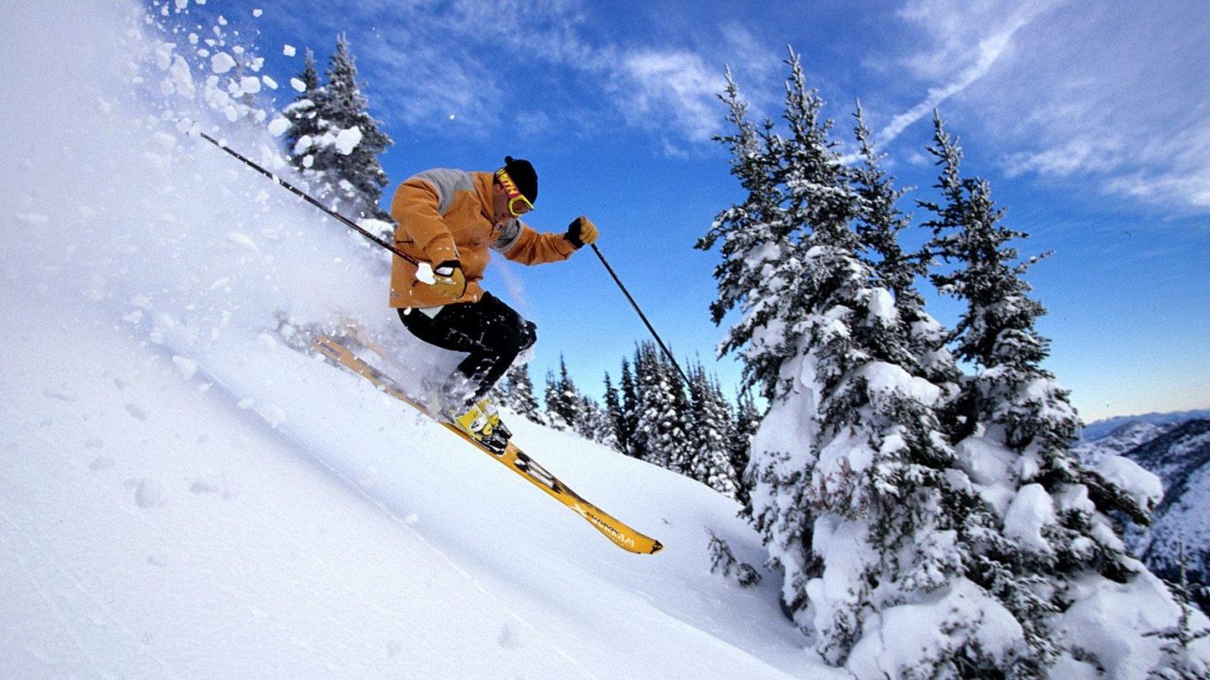 Ski alpin